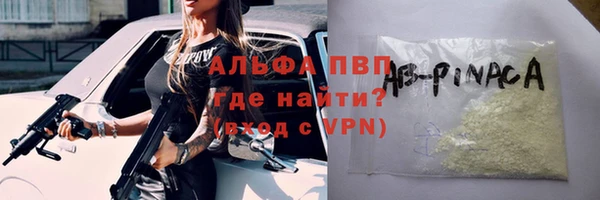 шишки Алзамай