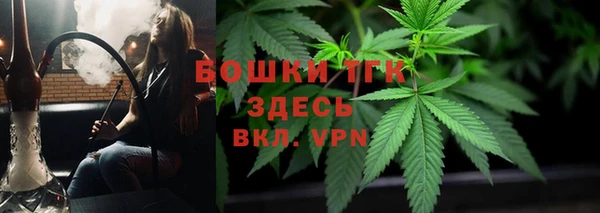 бошки Алексин