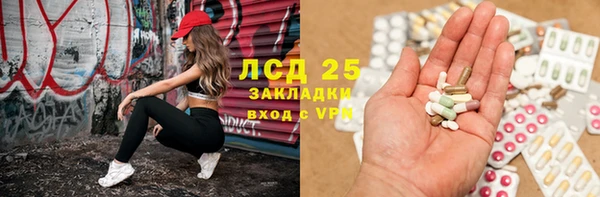 шишки Алзамай