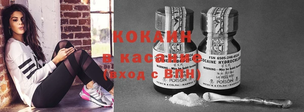 бошки Алексин