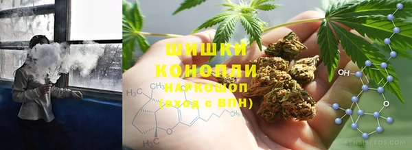 шишки Алзамай