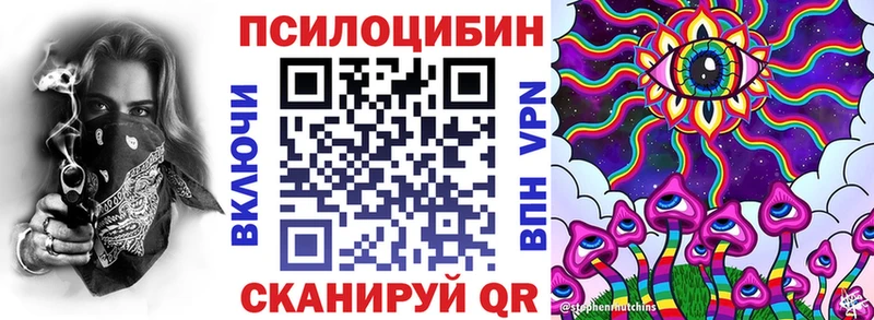 Псилоцибиновые грибы Psilocybe  Ивдель 